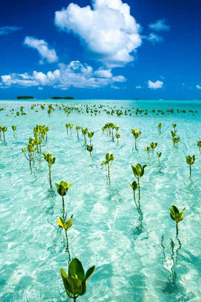 Natural Resource Conservation